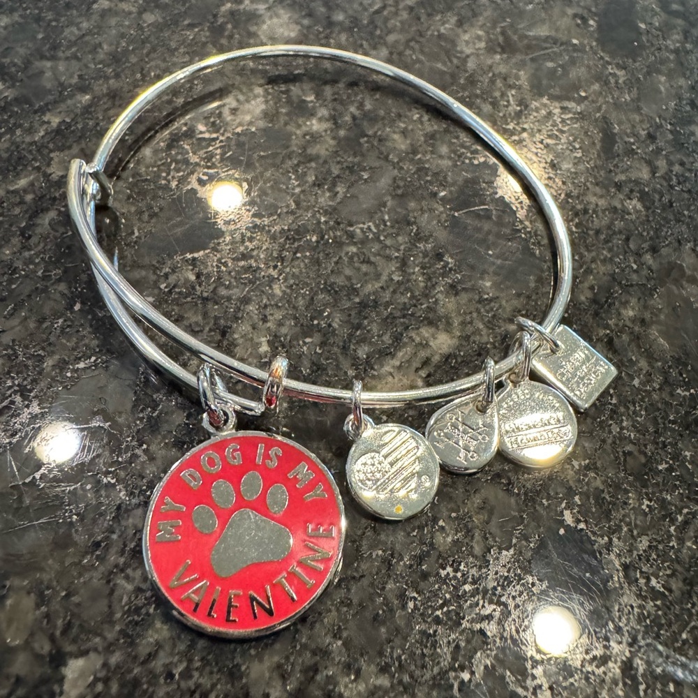 Alex and Ani Silver and Red Charm Bracelet
